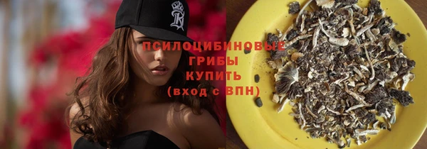 индика Абдулино