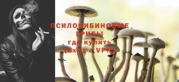 индика Абдулино