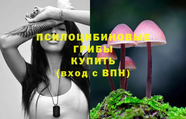индика Абдулино