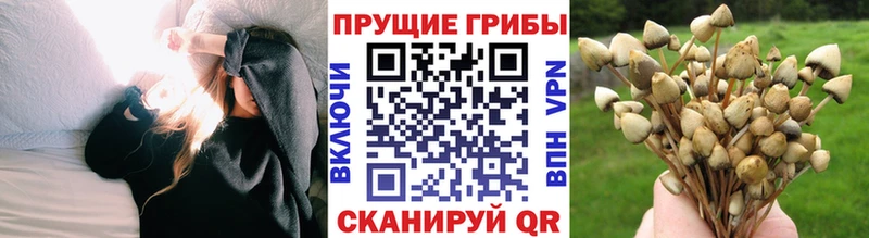 Псилоцибиновые грибы Magic Shrooms  Советский 