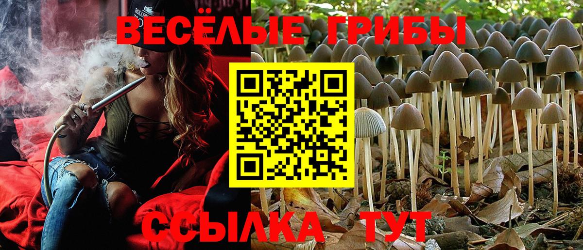 Псилоцибиновые грибы Cubensis Советский