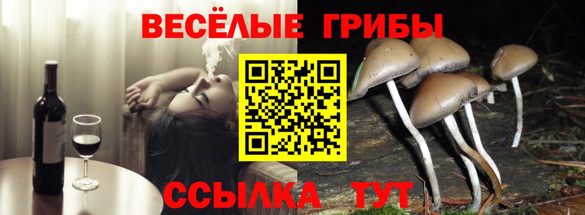 Советский  Псилоцибиновые грибы ЛСД  купить наркотики цена  Вход с VPN  Галлюциногенные грибы прущие грибы 