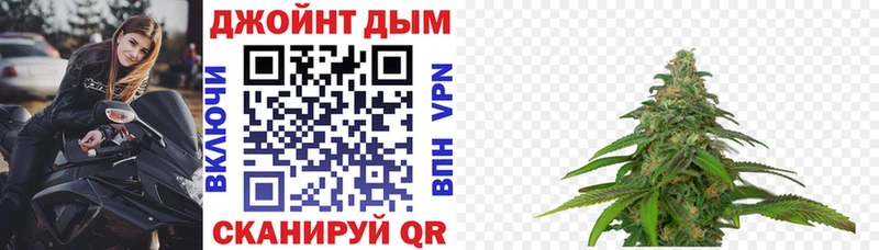 где можно купить   дарк нет состав  Шишки марихуана план  Советский  МЕГА ТОР 